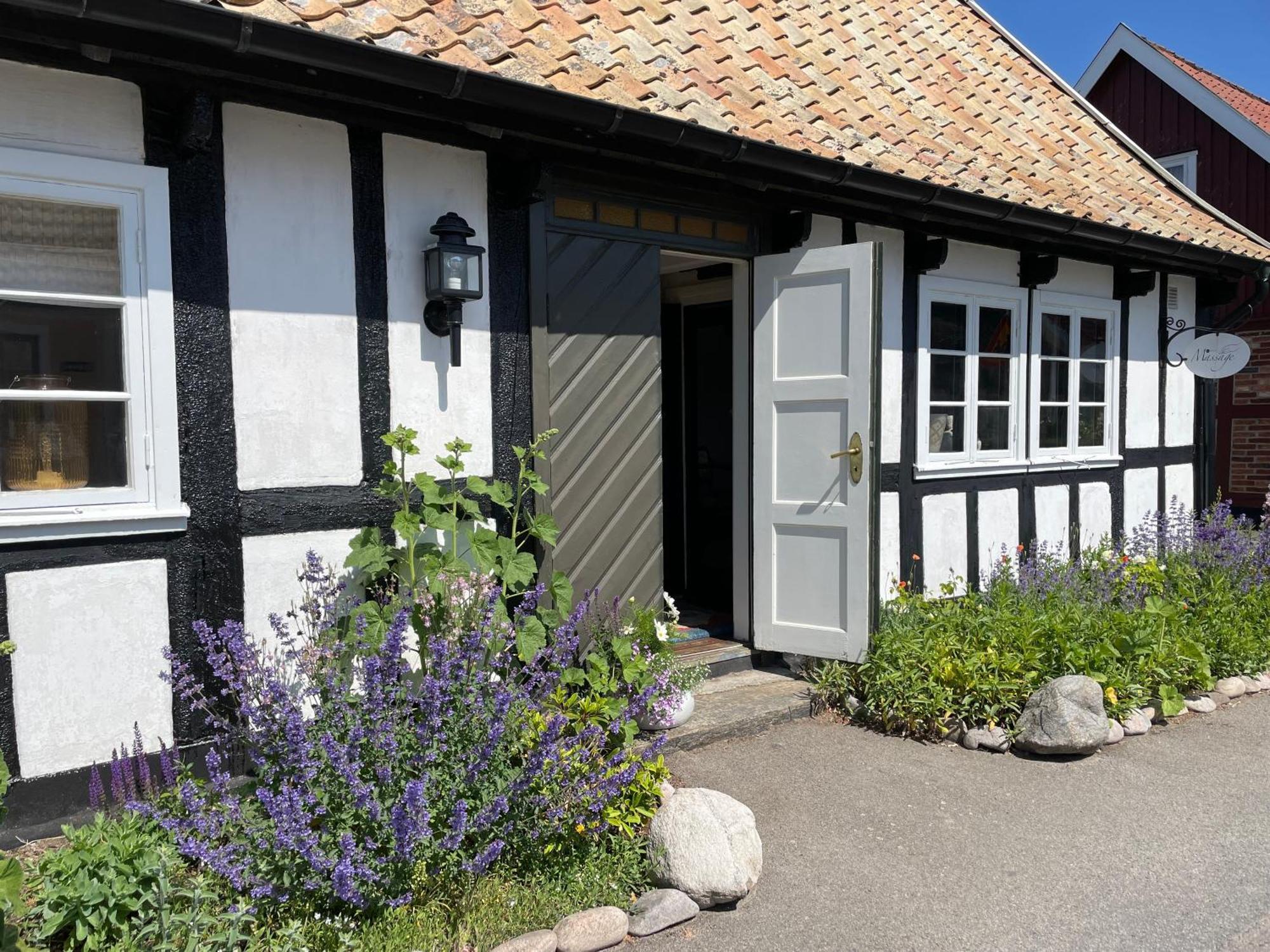 Elins Lycka I Viken Villa Viken  Екстериор снимка