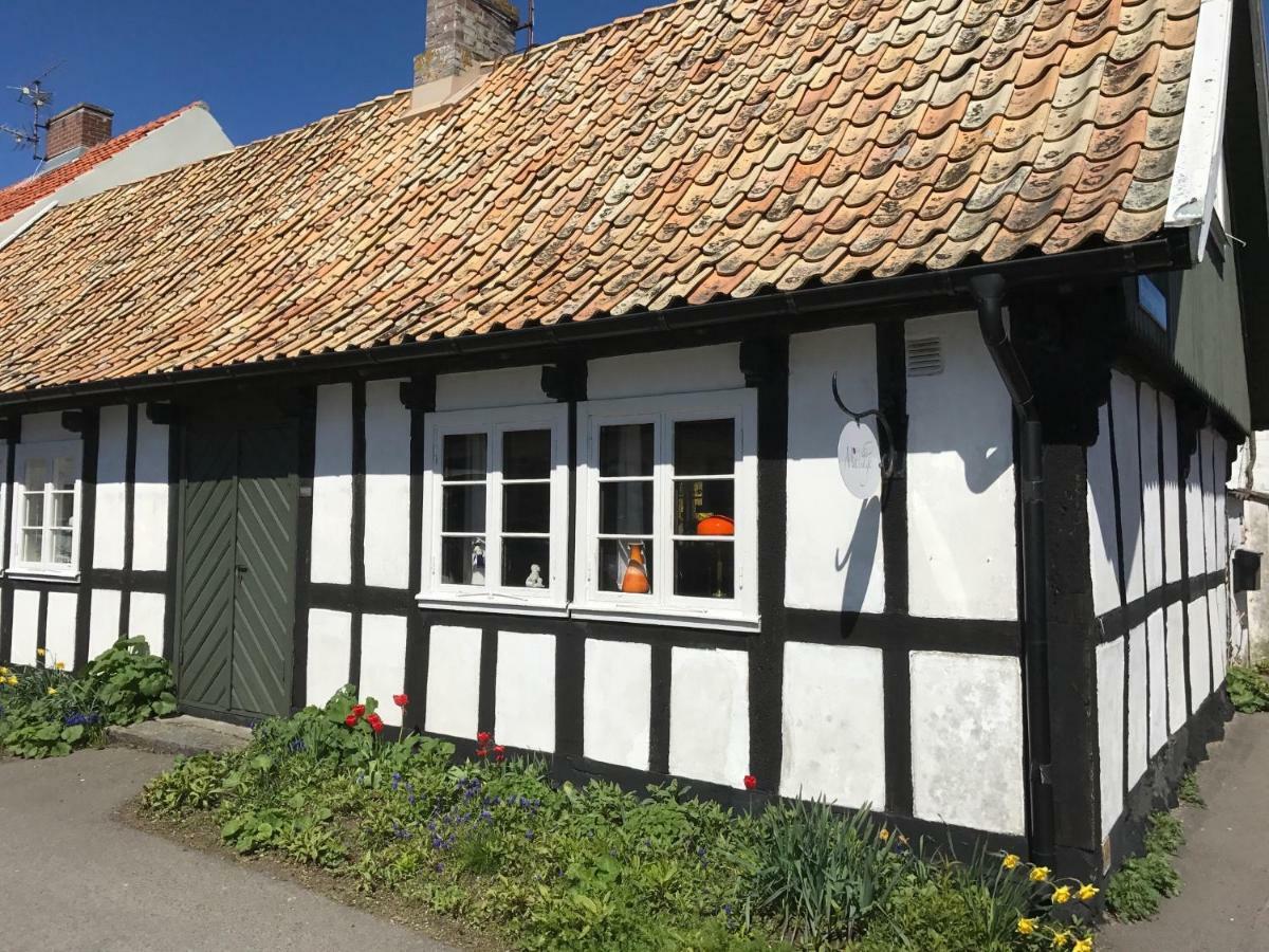 Elins Lycka I Viken Villa Viken  Екстериор снимка